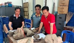 Chanphenh Phommavandy, Thongbang Phengsawat and Sisamai Silaphet - Objects being inventoried - Vat Phou (© CHAMPA Project).