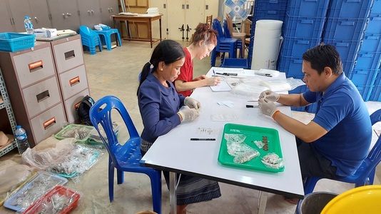 Reconditionnement des céramiques – réserve de Vat Phou – Janvier 2024