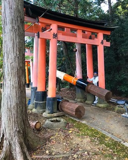 Remplacement d’un portique (torii) en bois de cryptomère (sugi) au Grand sanctuaire de Fushimi Inari, 2021, © Benoît Jacquet.
