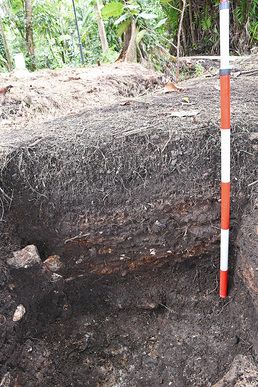 Archaeological Investigations at Sungai Jaong (2018, 2019, 2022), Sarawak, Malaysia