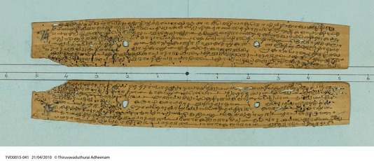 Deux feuilles d'un manuscrit sur ôles en écriture grantha qui transmet le commentaire sanskrit sur la Ratnatrayaparīkṣā, manuscrit provenant du monastère śivaïte de Tiruvāvaṭutuṟai.