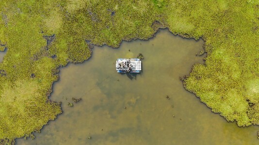 Prélèvements eDNA dans les douves d’Angkor Thom, février 2025. Photo Thomas Pottier.